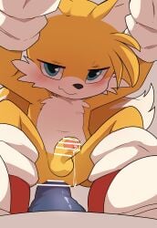 miles tails prower from sega by manmosu marimo