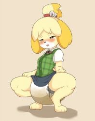 1girls animal_crossing anthro blush diaper diaper_under_skirt female furry isabelle_(animal_crossing) nintendo octo_jo skirt skirt_lift squatting wet_diaper wetting wetting_diaper