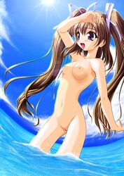 aizawa_tomomi anime_style breasts brown_hair casual_nudity day dutch_angle female female_only huge_eyes human long_hair nipples nude open_mouth outdoors pale_skin partially_submerged photoshop pia_carrot_(series) pointy_chin pussy sky solo standing tagme uncensored water