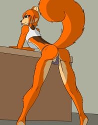 2025 absurd_res anthro ass blue_eyes bottomwear breasts clothed clothing countershade_face countershade_torso countershading digital_drawing_(artwork) digital_media_(artwork) eurasian_red_squirrel female flawedspirit fluffy fluffy_tail fur hi_res leaning leaning_forward looking_back mammal markings maya_(flawedspirit) multicolored_body nipples orange_body orange_fur orange_hair panties presenting presenting_hindquarters raised_tail rodent sciurid shaded simple_background small_breasts smile solo squirrel tail tongue tongue_out topwear tree_squirrel underwear