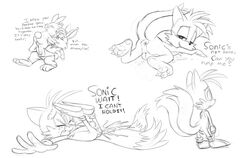 dandelion fur furry_tail looqdrake male_only multiple_tails papa_bramble sonic_(series) tail tails the_bellflower_bunnies