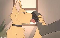 animated anthro anthro_on_anthro foot_fetish furry licking licking_foot licking_paws oc paw paws sordivian