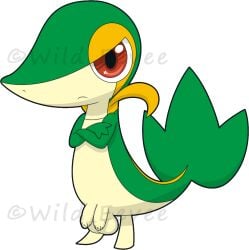 1boy balls blackcachomon feral foreskin hemipenes humanoid_genitalia humanoid_penis long_foreskin male male_only nintendo penis pokémon_(species) pokemon pokemon_(species) snivy solo testicles uncircumcised uncut wild_eevee