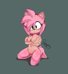 amy_rose anthro breasts crossed_arms eulipotyphlan female hedgehog hi_res kneeling mammal nipples png sega shumpy signature solo sonic_(series) sonic_the_hedgehog_(series)