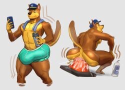 anal anal_sex anthro big_bulge bulge canid canine canis chase_(paw_patrol) clothing cone_insertion domestic_dog fuckboy hi_res improvised_dildo improvised_sex_toy lotolotl male male_only male_penetrated mammal paw_patrol penetration sex_toy traffic_cone underwear