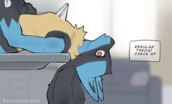 lucario from nintendo by sincastermon