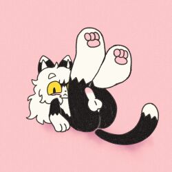 1:1 2023 animated balls black_body black_fur colored felid feline fur genitals girly hair long_hair looking_at_viewer male mammal pawpads penis pink_background pink_pawpads popstick simple_background white_body white_fur white_hair yellow_eyes