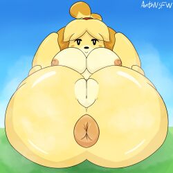 1girls alternate_version_available animal_crossing anthnsfw anthro anus areolae ass barefoot big_breasts breasts canid canine canis completely_nude completely_nude_female female female_only full_body fur furry furry_only holding_legs isabelle_(animal_crossing) large_ass legs_apart looking_at_viewer naked naked_female nintendo nipples nude nude_female on_back pussy smile solo solo_female steam steamy