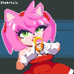 amy rose from sega by blobelain