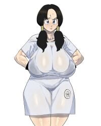 videl from dragon ball by jombleywombley
