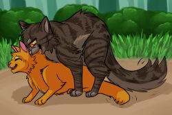 domestic_cat duo duo_focus felid feline felis feral firestar_(warriors) group kittnpawsart male male/male mammal tabby_cat tigerstar_(warriors) warriors_(cats)