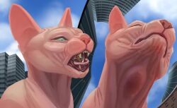 absurd_res bodily_fluids cat_pred city domestic_cat drooling epeon felid feline felis feral hairless hairless_cat hi_res macro male mammal meeko micro mythological_sphinx mythology neck_bulge oral_vore rampage saliva sphynx_(cat) swallow_(disambiguation) vore