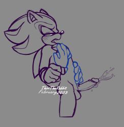 absurd_res anthro balls biped blush bodily_fluids cum disembodied_hand duo fondling genital_fluids genitals hi_res male male/male penis pubes sega shadow_the_hedgehog sonic_(series) sonic_the_hedgehog_(series) thiritherabbit