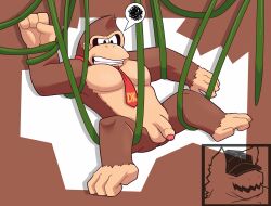 4_fingers absurd_res ape balls belly bound breasts brown_body brown_fur clenched_teeth closed_hands donkey_kong donkey_kong_(series) ears_back entangled fingers fist flaccid fur genitals half-closed_eyes hands_tied hanging_from_branch haplorhine hi_res male male/male male_only mammal monsterfurryr34 muscular muscular_arms narrowed_eyes necktie nintendo paws penis pivoted_ears plant primate solo spread_legs spreading tangled_legs teeth teeth_showing