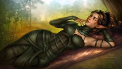 aeryn divinity:_original_sin_2 divinity_(series) elf elf_female sebille_(divinity)