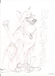 balto feral holidaypup kaltag tagme