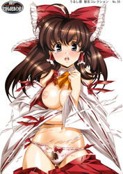 ascot bow breasts brown_hair detached_sleeves embarrassed enf female female_only hairbow human large_breasts lost_clothes miko navel nipples no_bra nostalgic_heroines open_clothes open_shirt oppai panties pubic_hair pussy_peek reimu_hakurei skirt_pull solo tear torn_clothes torn_panties touhou urushihara_satoshi