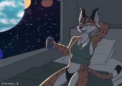 1girls anthro anthro_only bed blue_eyes dog_tags earrings lynx miyu_lynx nintendo panties relaxing shirt star_fox star_fox_2 window