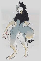 2023 anthro anus ass athletic athletic_anthro athletic_male backsack balls canid canine cheek_tuft claws colored digital_drawing_(artwork) digital_media_(artwork) digitigrade facial_tuft fangs fluffy fox fur genitals grey_hair hair hi_res lezified male mammal multicolored_body multicolored_fur neck_tuft nude perineum raised_tail rear_view short_hair solo tail teasing teeth tuft were werecanid werecanine werefox