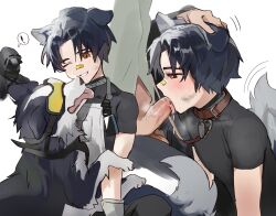 2boys animal_ears arknights blowjob clothed collar dog_collar gay itsme_takk male_only precum uncensored windflit_(arknights) yaoi