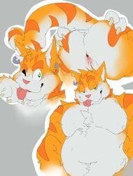 2022 anthro anus ass barazoku bedroom_eyes belly blep butt_shot colored domestic_cat ear_piercing felid feline felis fur grandall_(artist) hi_res male mammal multiple_images narrowed_eyes one_eye_closed orange_body orange_fur pecs piercing presenting presenting_anus presenting_hindquarters seductive sketch_page solo spread_butt spreading tabby_cat tongue tongue_out wink