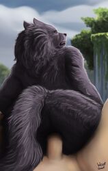 2023 anal anal_sex anthro anthro_penetrated ass blaidd_(elden_ring) canid canine canis colored day detailed_background duo elden_ring english_text erection first_person_view fromsoftware fur genitals grey_body grey_fur hi_res human human_on_anthro human_on_male human_penetrating human_penetrating_anthro interspecies light-skinned_male light_skin looking_at_viewer looking_back looking_back_at_viewer male male/male male_penetrated male_penetrating male_penetrating_male mammal nude on_bottom on_top open_mouth outside penetration penile penile_penetration penis penis_in_ass reverse_cowgirl_position scar sex signature sky text wolf woofgoofdaloop_(artist)