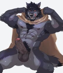 1boy anthro balls beard black_hair body_hair canid canine canis chest_hair cloak clothing erection facial_hair flexing foreskin front_view fur genitals grey_body grey_fur hair hi_res humanoid_genitalia humanoid_penis licking licking_lips looking_at_viewer male male_only mammal meocondainhan muscular muscular_anthro muscular_male penis pubes ronin_(innovator_aegis) scar sitting solo solo_male tongue tongue_out were werecanid werecanine werewolf white_background wolf