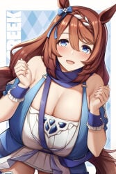 breasts brown_hair female hair long_hair looking_at_viewer super_creek_(umamusume) umamusume