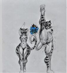 1girls anthro big_breasts breasts carcl3_owe child_bearing_hips female female_only huge_breasts kung_fu_panda master_tigress stretching thick_thighs thighs thunder_thighs wide_hips