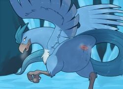 animal_genitalia articuno ass avian avian_feet beak blue_body blue_feathers bodily_fluids cloaca cloaca_juice feathered_wings feathers female feral generation_1_pokemon genital_fluids genitals hi_res ice legendary_pokemon long_tail looking_at_viewer looking_back looking_back_at_viewer mcfan nintendo pokemon pokemon_(species) presenting presenting_cloaca presenting_hindquarters solo tail wings