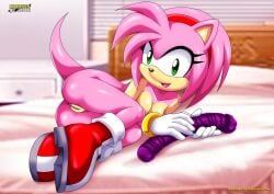 amy rose from sega by bbmbbf