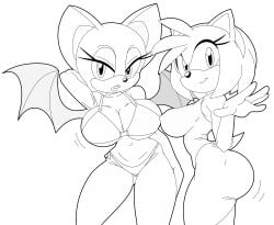 amy_rose anthro bat big_breasts bikini cleavage female hedgehog huge_ass huge_breasts huge_butt looking_at_viewer one-piece_swimsuit rouge_the_bat smile sonic_(series) squidapple suo wings