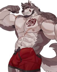 1boy 2020s 2023 abdominal_scar abs absurd_res anthro arm_tattoo armpit_hair augar_(augarrwoof) beard biceps black_beard body_hair bottomwear bulge canid canine canis chest_scar chest_tattoo clothing ear_piercing ear_ring eyebrow_scar facial_hair facial_scar fur gay genital_outline grey_body grey_fur grey_hair hair happy_trail hi_res imato male male_only mammal multicolored_body multicolored_fur muscular muscular_anthro muscular_male nipples nose_scar obliques pecs penis_outline piercing pubes red_bottomwear red_clothing red_shorts ring_piercing scar sharp_teeth shorts shoulder_scar shoulder_tattoo solo solo_male tattoo teeth white_body white_fur wolf