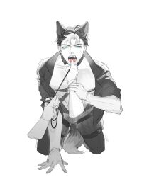 anthro anthrofied blue_eyes collar dc dc_comics fox_boy fox_ears fox_humanoid fox_tail jason_todd kneeling leash_and_collar leash_pull male male_focus male_only on_hands_and_knees open_mouth petplay red_hood_(dc) solo_male submissive_male thumb_in_mouth trna