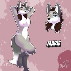 anthro axelpaws622 black_nose breasts brown_hair canid canine canis character_name facial_markings female forehead_markings fur grey_body grey_fur hair hands_behind_head head_markings heterochromia hi_res looking_at_viewer mammal marie_lefayette markings model_sheet nipples nude paws pink_background signature simple_background solo standing tail wolf