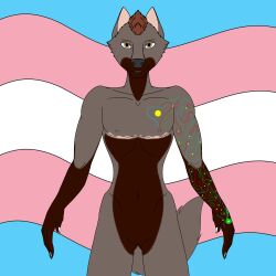 absurd_res andromorph anthro canid canine caxy_creations cuntboy fox genitals hi_res intersex lgbt_pride mammal nude pride_color_background pride_colors pussy scar simple_background smile solo tattoo trace_parker transgender_pride_colors