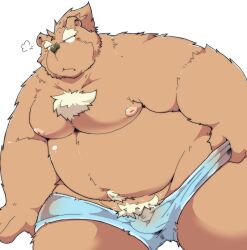 2023 anthro bear belly big_belly black_nose blush brown_body bulge clothing hi_res kemono male mammal moobs nipples overweight overweight_male solo suishou0602 underwear