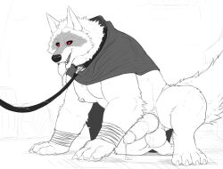 all_fours anthro barrels black_cloak black_collar bodily_fluids canid canine canis claws cloak cloak_only clothing collar cum death_(puss_in_boots) digital_media_(artwork) digitigrade dreamworks dripping erection fur genital_fluids genitals grey_body grey_fur leaking leash leash_play leashed_collar leashed_male looking_at_another male male_only mammal mostly_nude muscular muscular_anthro muscular_male nipple_piercing nipples nude open_mouth penis piercing puss_in_boots_(dreamworks) puss_in_boots_the_last_wish risebernold saliva saliva_drip saliva_on_tongue salivating simple_background smile solo submissive tail teeth tongue tongue_out white_body white_fur wolf wraps wrist_wraps