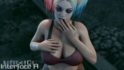 harley quinn from batman (series) by interface h