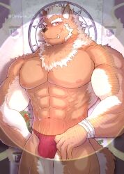 absurd_res alternate_version_at_source anthro bandage bandaged_arm biceps bulge canid canine canis clothing detailed_bulge fur hi_res lifewonders looking_at_viewer male mammal marchosias_(tokyo_afterschool_summoners) muscular muscular_male nipples ortwin_rd pecs scratch_mark solo_male stage_lights tokyo_afterschool_summoners underwear wolf