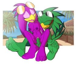 anthro avian balls barefoot bird breasts duo feet female foot_ninja15 genitals girl_on_top glasses hi_res humanoid jet_the_hawk jetave male male/female medium_breasts monochrome nipples nude penetration penis pussy sega soles sonic_(series) sonic_riders sonic_the_hedgehog_(series) tropical vaginal_penetration wave_the_swallow