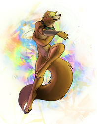 1boy anthro border_collie canine dancing gardeaalgedo jethro_(character) male male_only mammal nude penis penis_tip sheath solo