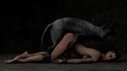 3d animated bondage clara_lille doggy_style female pewposterous tagme top-down_bottom-up zoophilia