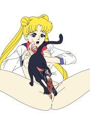 1animal 1futa artist_request bishoujo_senshi_sailor_moon blonde_hair blue_eyes breasts cat clothing cum cum_on_face cumshot feral fingering futa_on_futa futa_only futa_sans_balls hair_buns handjob luna_(sailor_moon) nipples penis school_uniform small_breasts tagme transparent_background uncensored usagi_tsukino zoophilia