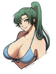 1girls bikini blue_bikini blue_swimsuit breasts female female_only fire_emblem fire_emblem:_the_blazing_blade green_eyes green_hair grin large_breasts long_hair lyn_(fire_emblem) nintendo omiza_somi ponytail smile solo swimsuit upper_body