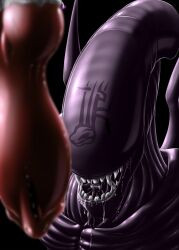 alien alien_(franchise) ambiguous_gender animal_genitalia anthro bodily_fluids canine_genitalia canine_penis dark_violet duo erection genitals hi_res imminent_oral knot male open_mouth penis saliva snakehead404 xenomorph