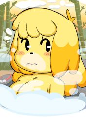 1girls 2023 animal_crossing anthro bamboo bell bell_collar black_eyes blonde_hair blush breasts cleavage domestic_dog embarrassed female female_focus female_only hot_spring isabelle_(animal_crossing) nintendo nude nude_female onibi solo solo_female steam yellow_fur