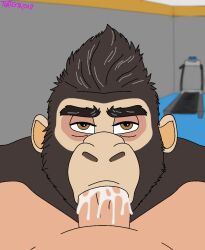 anthro anthro_penetrated ape bodily_fluids cum cum_in_mouth cum_inside drinking drinking_cum duo eye_contact fellatio genital_fluids gorilla gym haplorhine hi_res human human_on_anthro human_penetrating human_penetrating_anthro interspecies looking_at_another male male/male mammal mature_anthro mature_male oral penetration penile primate sex swallowing thatgtaguy