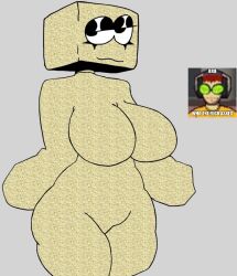 1girls animate_inanimate black_eyelids featureless_breasts female female_only looking_at_viewer meme minecraft minecraft_anthro_block minecraft_sand_block sand solo tagme