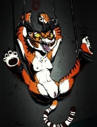 anthro bondage bondage bound breasts digital_media_(artwork) dreamworks felid feline female gag genitals hi_res kung_fu_panda mammal master_tigress mortimer_thorn nipples nude open_mouth pantherine pussy questionable_consent restrained restraints ring_gag simple_background solo solo_focus suspended_in_midair tiger